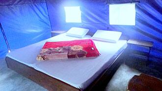 Tirthan Holidays Camp, Banjar 3